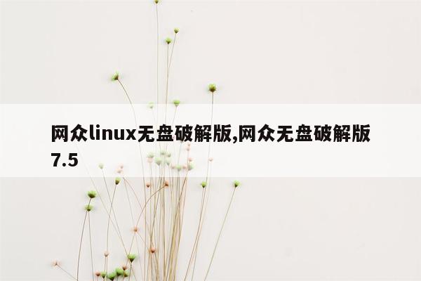 网众linux无盘破解版,网众无盘破解版7.5