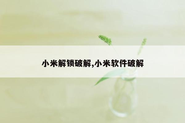 小米解锁破解,小米软件破解