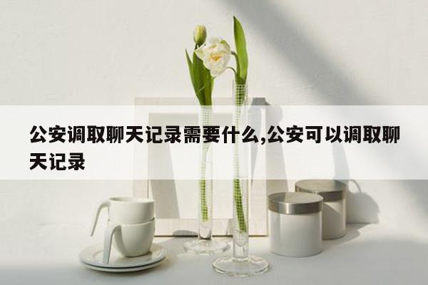 公安调取聊天记录需要什么,公安可以调取聊天记录