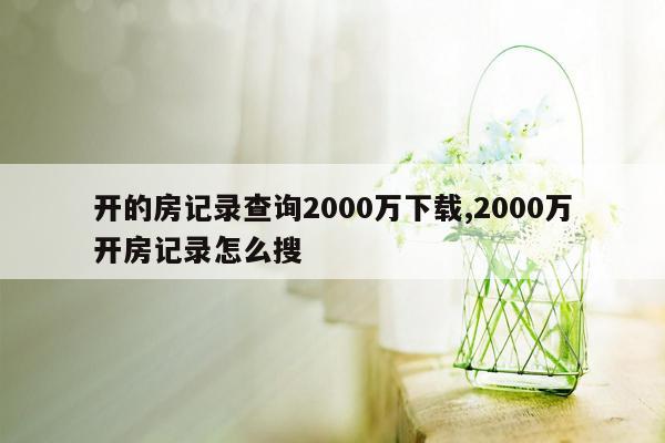 开的房记录查询2000万下载,2000万开房记录怎么搜