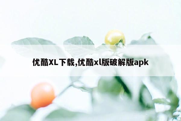 优酷XL下载,优酷xl版破解版apk