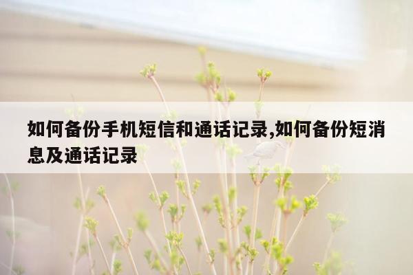 如何备份手机短信和通话记录,如何备份短消息及通话记录