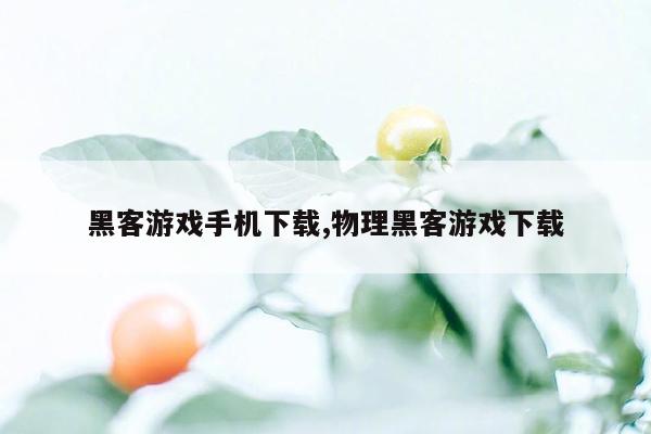 黑客游戏手机下载,物理黑客游戏下载