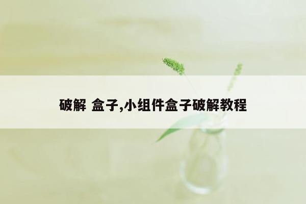 破解 盒子,小组件盒子破解教程