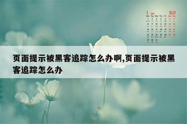 页面提示被黑客追踪怎么办啊,页面提示被黑客追踪怎么办