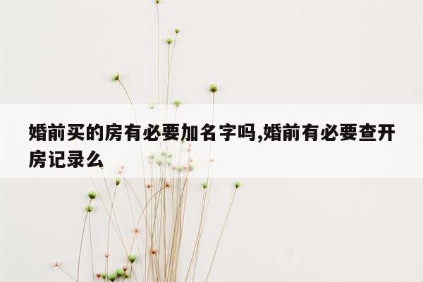 婚前买的房有必要加名字吗,婚前有必要查开房记录么