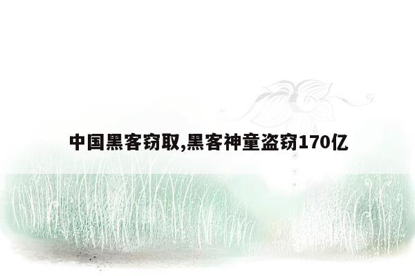 中国黑客窃取,黑客神童盗窃170亿