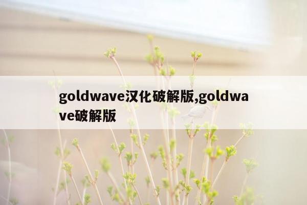 goldwave汉化破解版,goldwave破解版