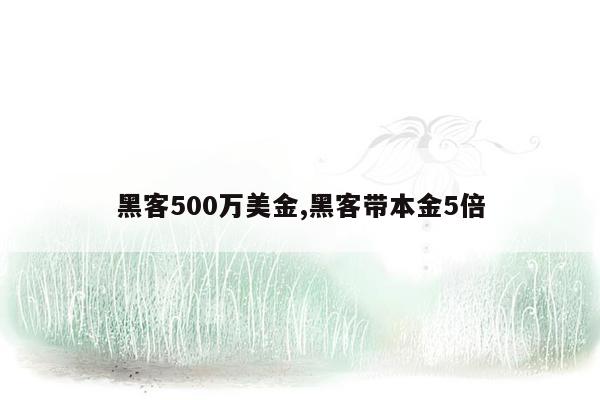 黑客500万美金,黑客带本金5倍