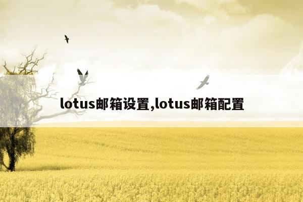 lotus邮箱设置,lotus邮箱配置