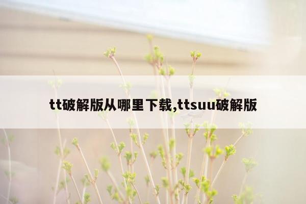 tt破解版从哪里下载,ttsuu破解版