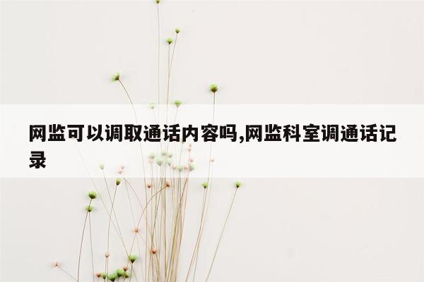 网监可以调取通话内容吗,网监科室调通话记录