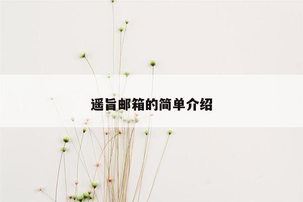 遥旨邮箱的简单介绍