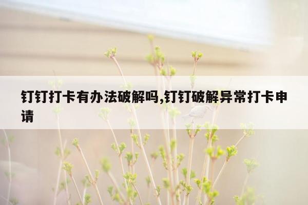 钉钉打卡有办法破解吗,钉钉破解异常打卡申请