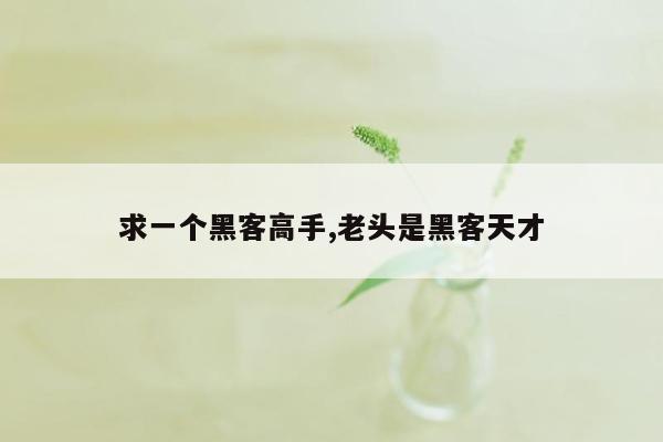 求一个黑客高手,老头是黑客天才