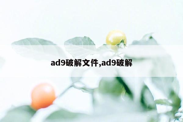 ad9破解文件,ad9破解