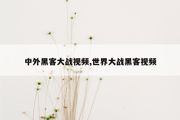 中外黑客大战视频,世界大战黑客视频