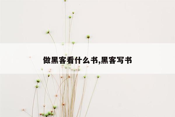 做黑客看什么书,黑客写书