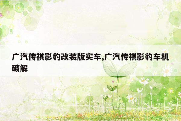 广汽传祺影豹改装版实车,广汽传祺影豹车机破解