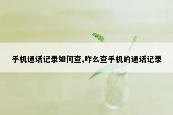 手机通话记录如何查,咋么查手机的通话记录