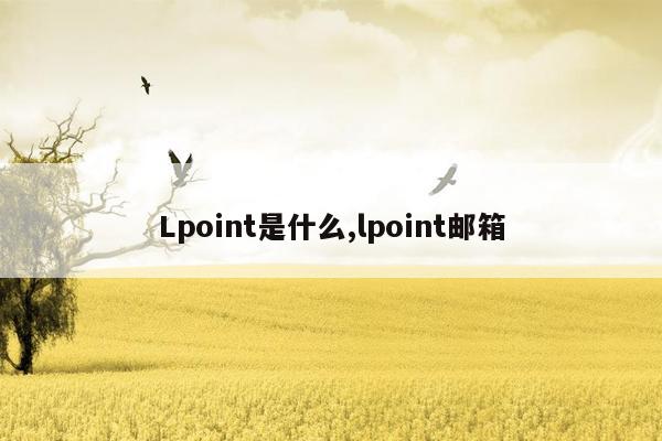 Lpoint是什么,lpoint邮箱