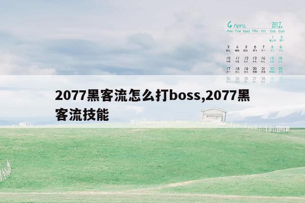 2077黑客流怎么打boss,2077黑客流技能