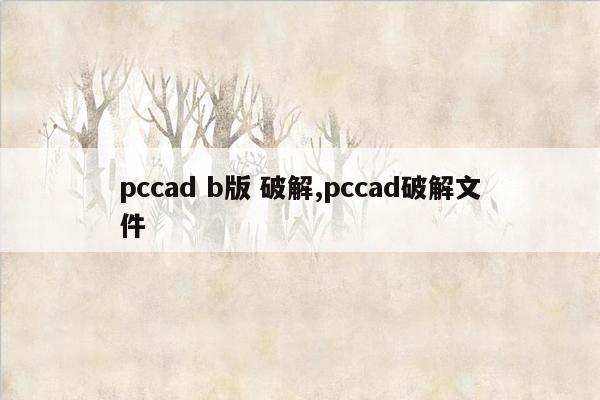 pccad b版 破解,pccad破解文件