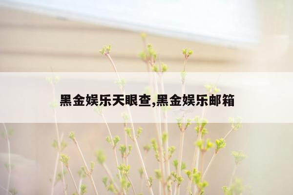 黑金娱乐天眼查,黑金娱乐邮箱