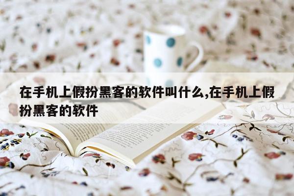 在手机上假扮黑客的软件叫什么,在手机上假扮黑客的软件