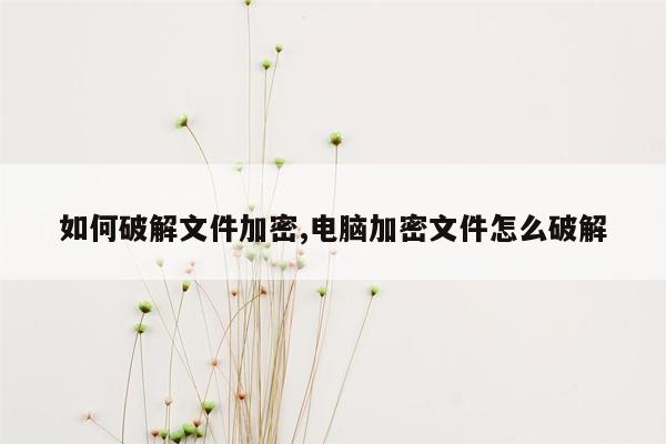 如何破解文件加密,电脑加密文件怎么破解