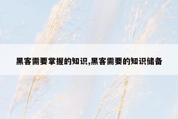 黑客需要掌握的知识,黑客需要的知识储备