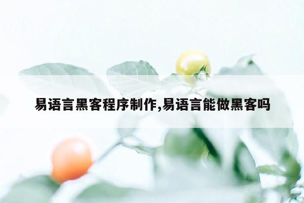 易语言黑客程序制作,易语言能做黑客吗