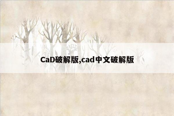CaD破解版,cad中文破解版