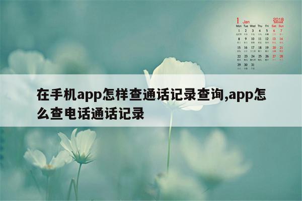 在手机app怎样查通话记录查询,app怎么查电话通话记录