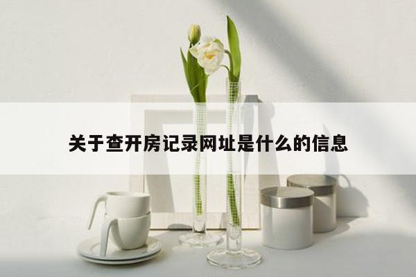 关于查开房记录网址是什么的信息