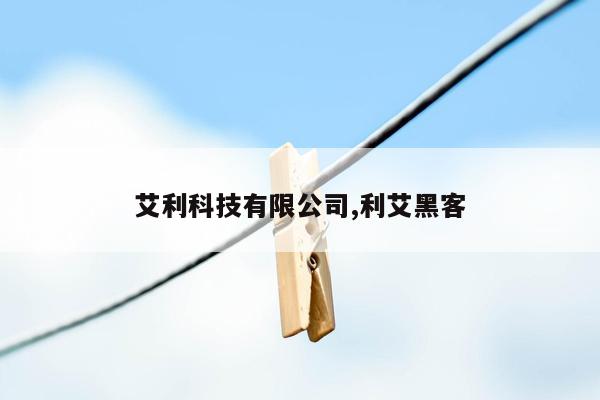 艾利科技有限公司,利艾黑客