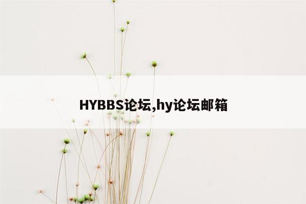 HYBBS论坛,hy论坛邮箱