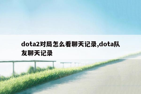 dota2对局怎么看聊天记录,dota队友聊天记录