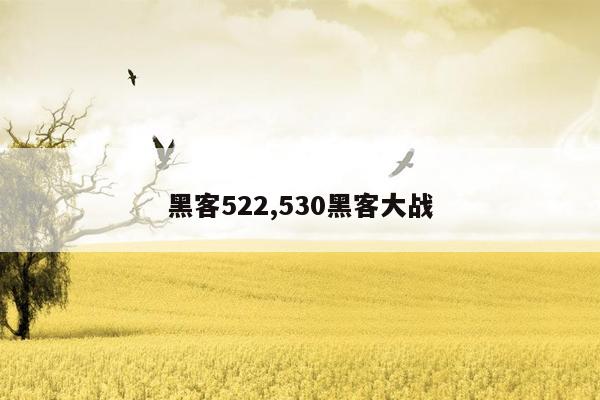 黑客522,530黑客大战