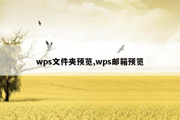 wps文件夹预览,wps邮箱预览