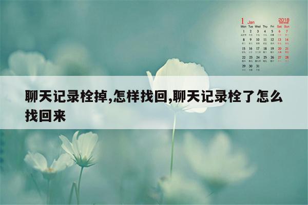 聊天记录栓掉,怎样找回,聊天记录栓了怎么找回来