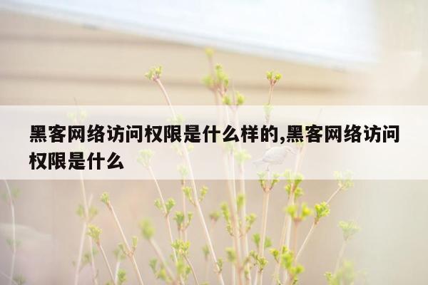 黑客网络访问权限是什么样的,黑客网络访问权限是什么