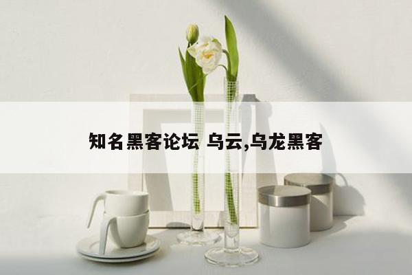 知名黑客论坛 乌云,乌龙黑客