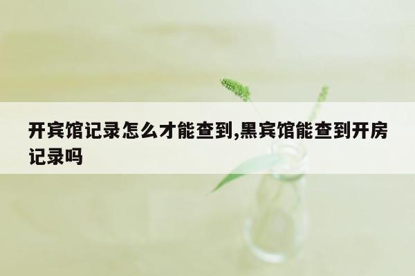 开宾馆记录怎么才能查到,黑宾馆能查到开房记录吗