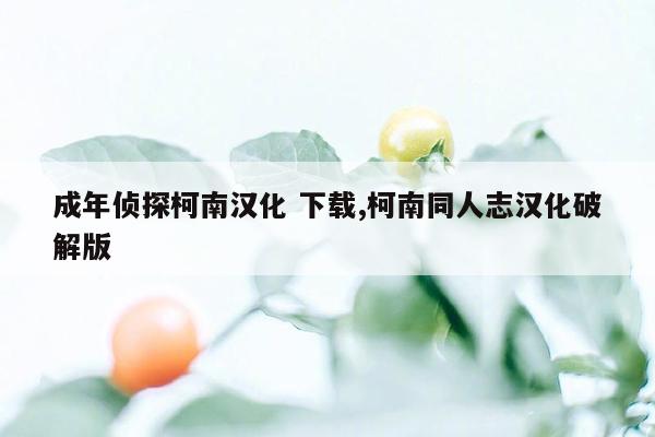 成年侦探柯南汉化 下载,柯南同人志汉化破解版