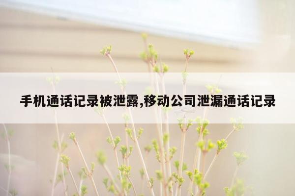 手机通话记录被泄露,移动公司泄漏通话记录