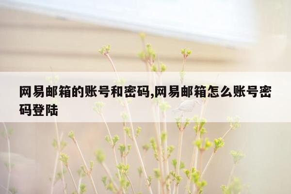 网易邮箱的账号和密码,网易邮箱怎么账号密码登陆