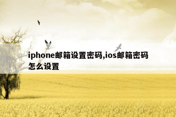 iphone邮箱设置密码,ios邮箱密码怎么设置