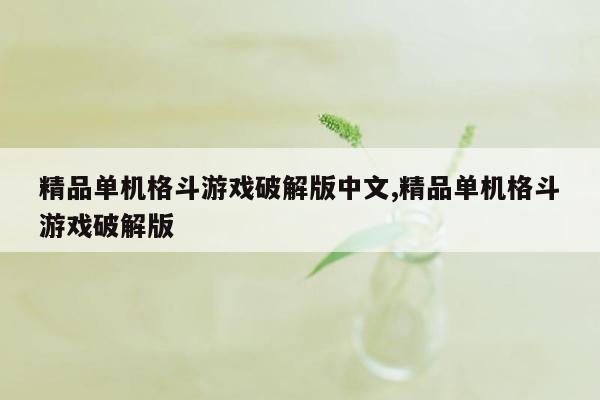 精品单机格斗游戏破解版中文,精品单机格斗游戏破解版