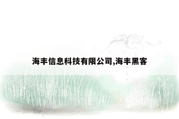 海丰信息科技有限公司,海丰黑客